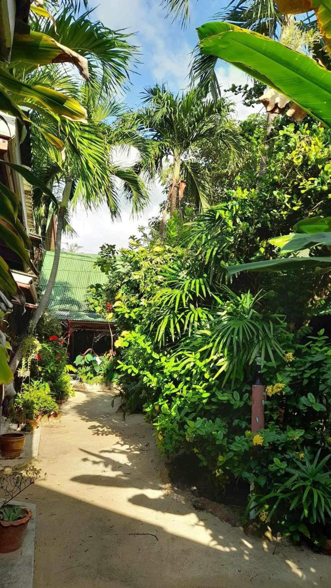 Beer'S House Bungalows เบียร์เฮ้าส์บังกะโล Ban Lamai Zewnętrze zdjęcie