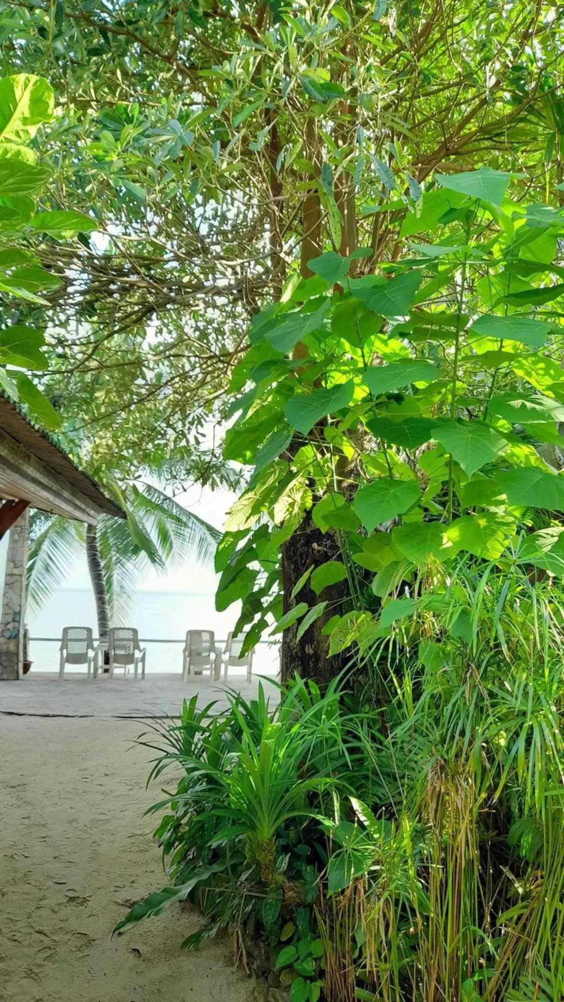 Beer'S House Bungalows เบียร์เฮ้าส์บังกะโล Ban Lamai Zewnętrze zdjęcie